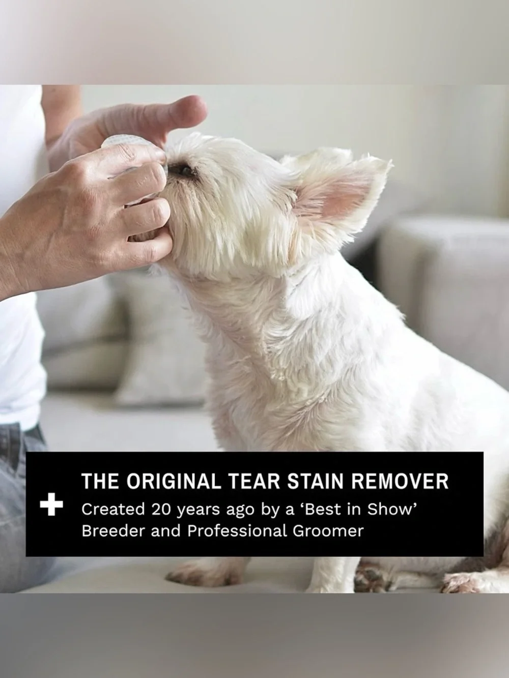 Eye Envy Tear Stain Wipes for Dogs 60 Count Gently Cleans Loosen Debris EXP 4/29